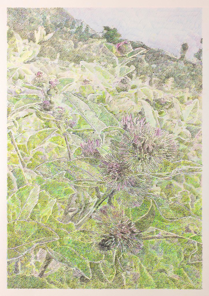 Celibataire Diva's - Image 16