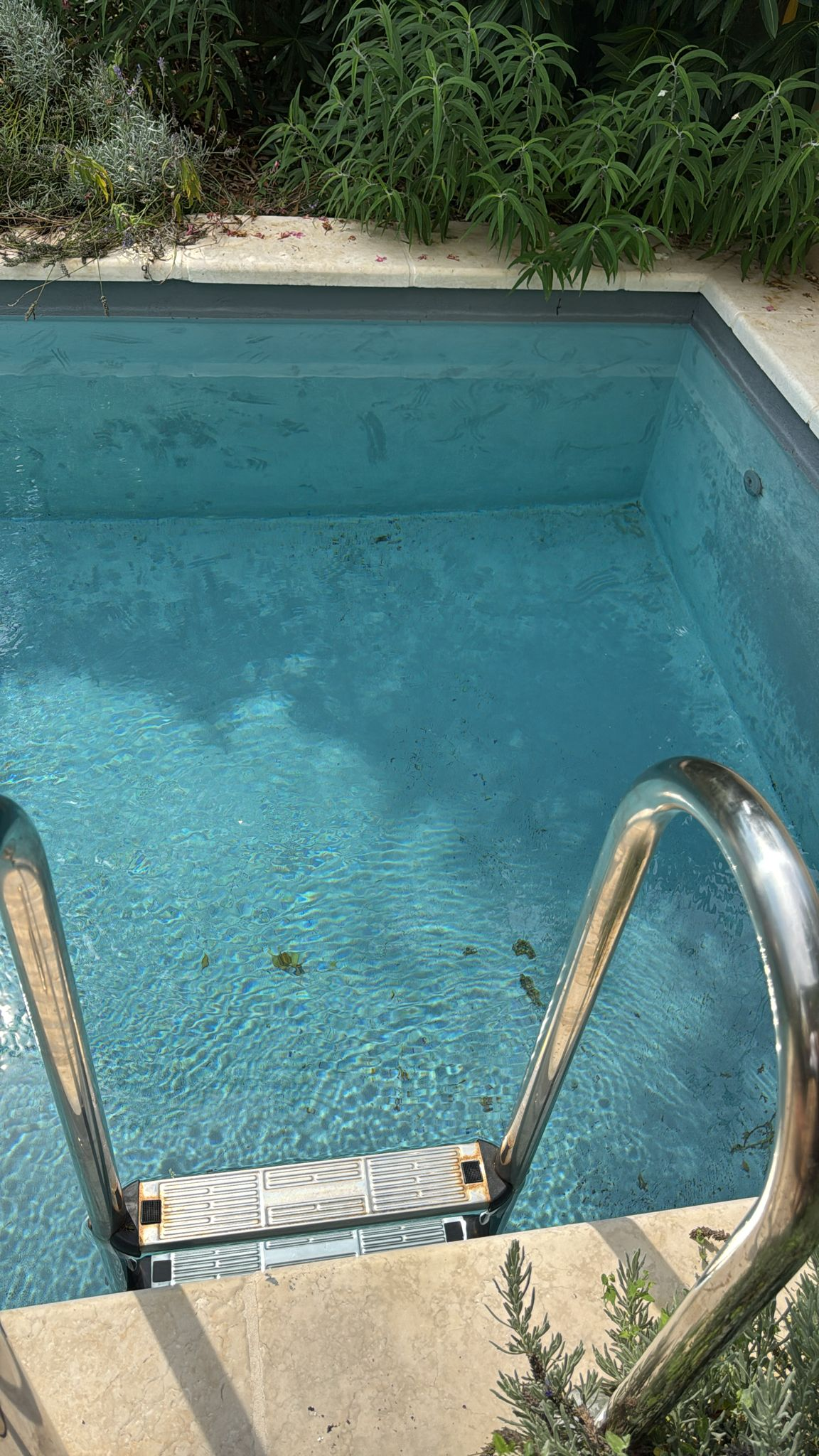 Toile Blanche - Image 2