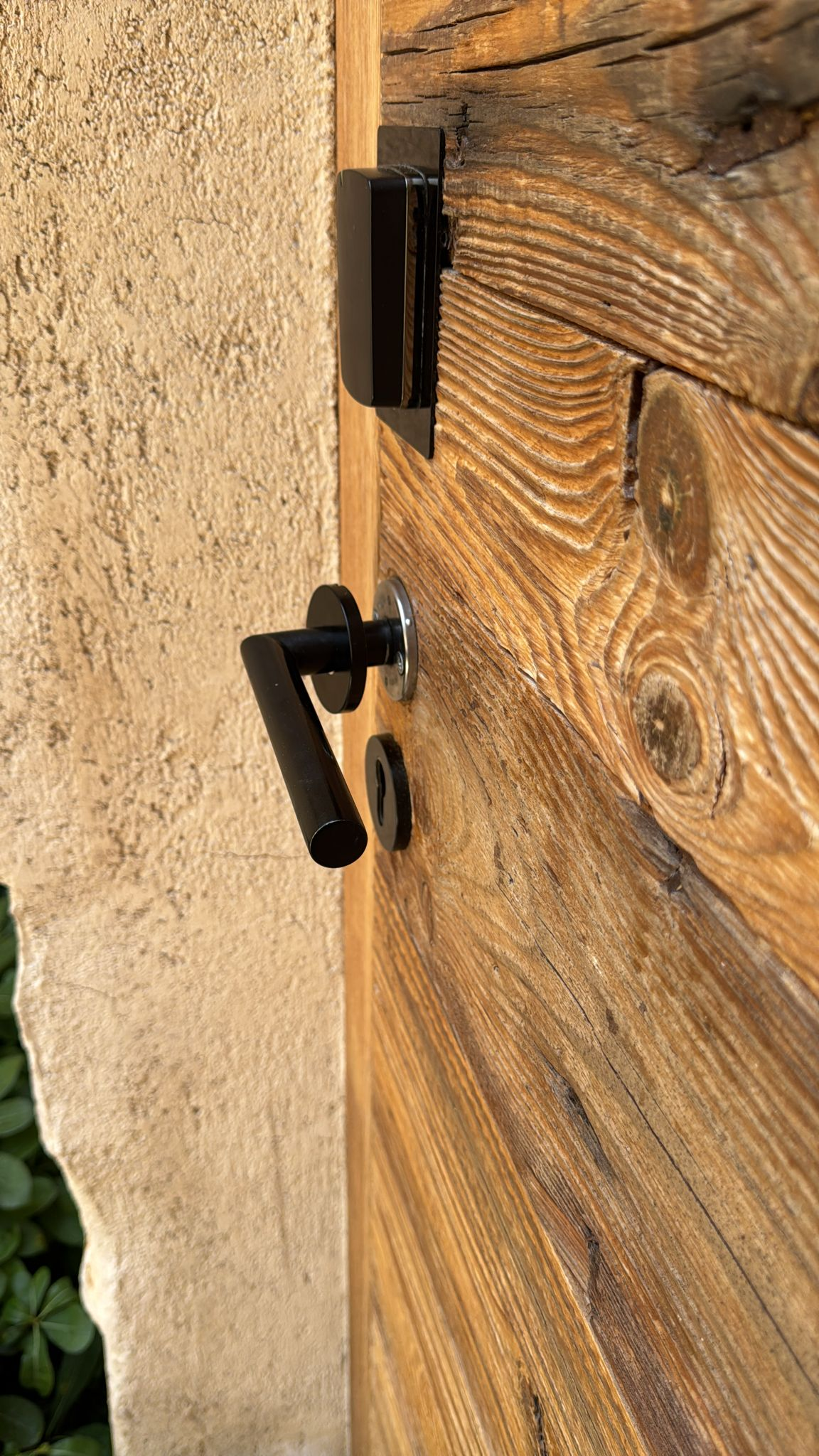 Toile Blanche - Image 7